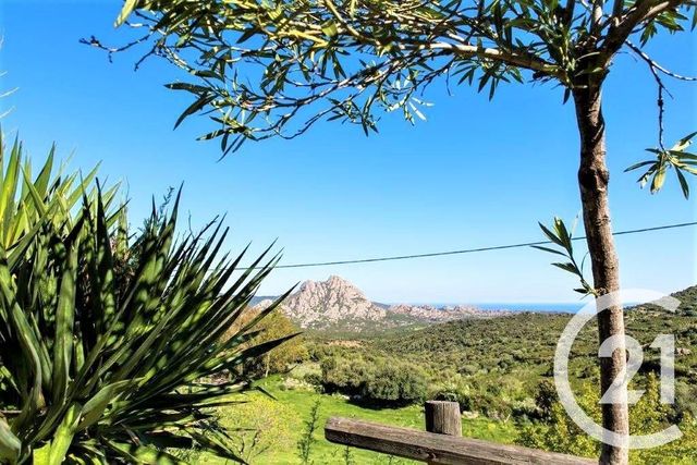 Maison à vendre - 12 pièces - 438,96 m2 - St Florent - 202 - CORSE