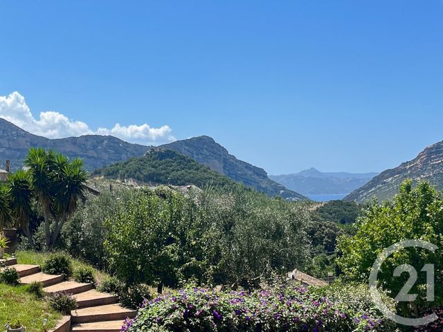 Maison &agrave; vendre - 7 pi&egrave;ces - 261,30 m2 - Patrimonio - 202 - CORSE