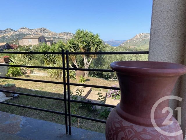 Maison &agrave; vendre - 7 pi&egrave;ces - 261,30 m2 - Patrimonio - 202 - CORSE
