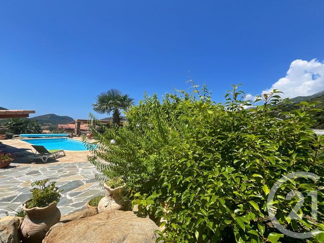 Maison &agrave; vendre - 7 pi&egrave;ces - 261,30 m2 - Patrimonio - 202 - CORSE