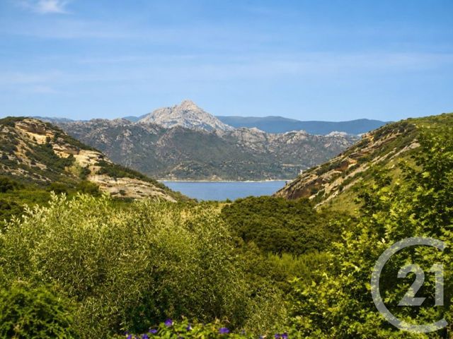 Maison &agrave; vendre - 7 pi&egrave;ces - 261,30 m2 - Patrimonio - 202 - CORSE