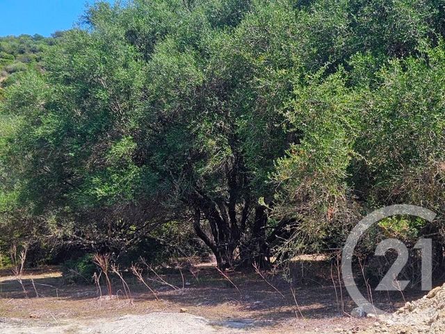 Appartement Studio à vendre - 1 pièce - 25 m2 - Oletta - 202 - CORSE