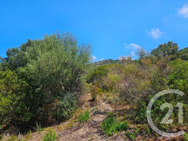 Appartement T2 à vendre - 2 pièces - 51 m2 - Oletta - 202 - CORSE