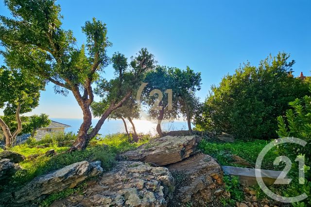 Maison à vendre - 6 pièces - 181,91 m2 - San Martino Di Lota - 202 - CORSE