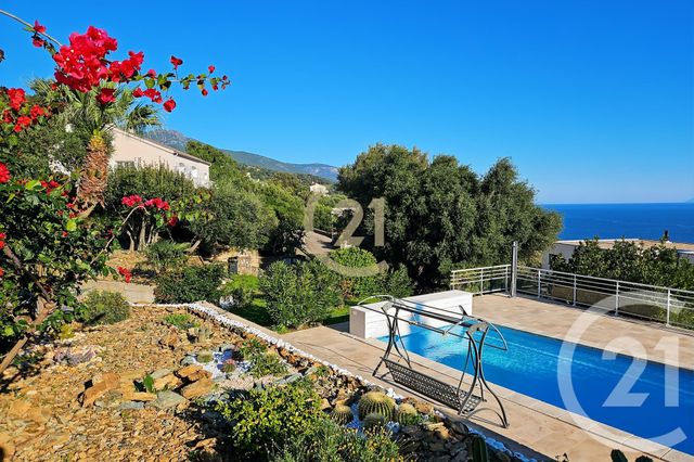 Maison à vendre - 6 pièces - 181,91 m2 - San Martino Di Lota - 202 - CORSE