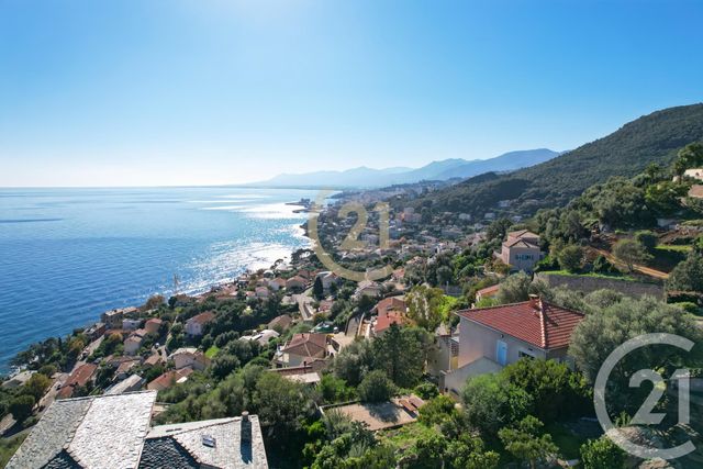 Maison à vendre - 6 pièces - 181,91 m2 - San Martino Di Lota - 202 - CORSE