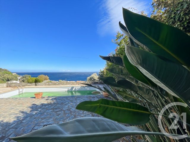 Maison &agrave; vendre - 6 pi&egrave;ces - 261,21 m2 - Santa Maria Di Lota - 202 - CORSE