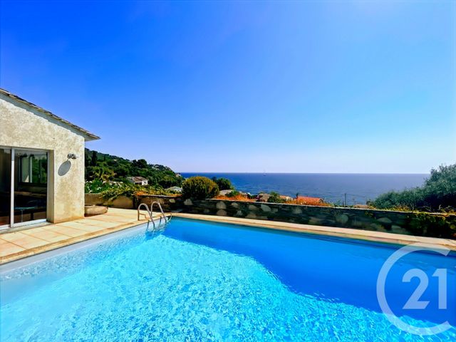 Maison à vendre - 6 pièces - 261,21 m2 - Santa Maria Di Lota - 202 - CORSE