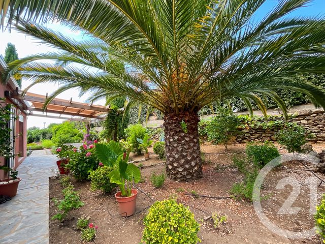 Maison &agrave; vendre - 6 pi&egrave;ces - 156,29 m2 - Oletta - 202 - CORSE