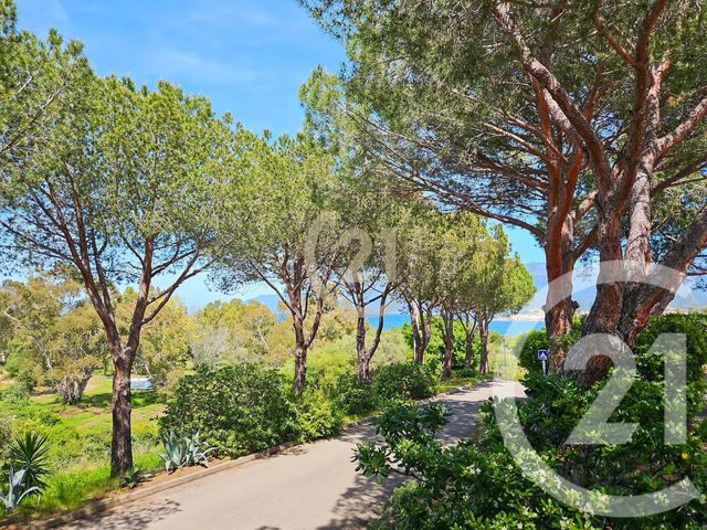 Appartement T2 &agrave; vendre - 2 pi&egrave;ces - 36,93 m2 - St Florent - 202 - CORSE