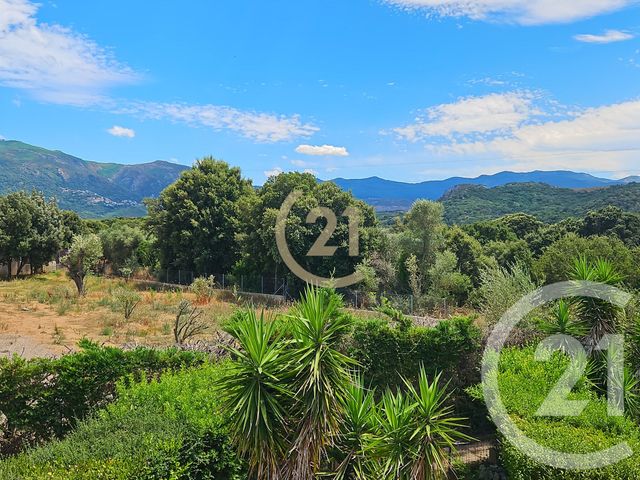 Appartement T3 à vendre - 3 pièces - 74 m2 - Oletta - 202 - CORSE