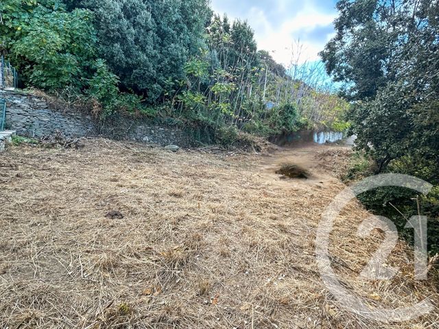 Terrain &agrave; vendre - 2039 m2 - Canari - 202 - CORSE