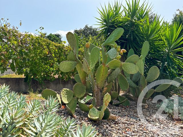 Maison à vendre - 3 pièces - 50 m2 - Oletta - 202 - CORSE