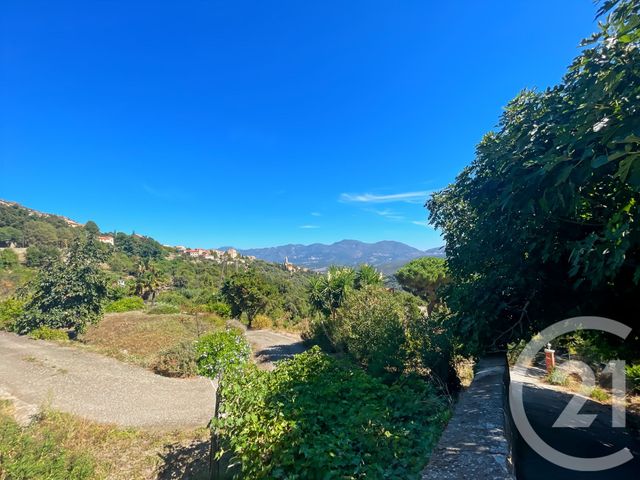 Appartement T3 à vendre - 3 pièces - 44,43 m2 - Santo Pietro Di Tenda - 202 - CORSE