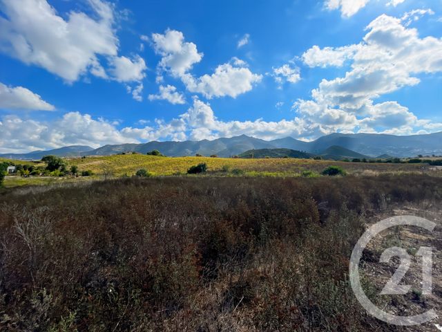 Maison à vendre - 3 pièces - 77,83 m2 - Oletta - 202 - CORSE