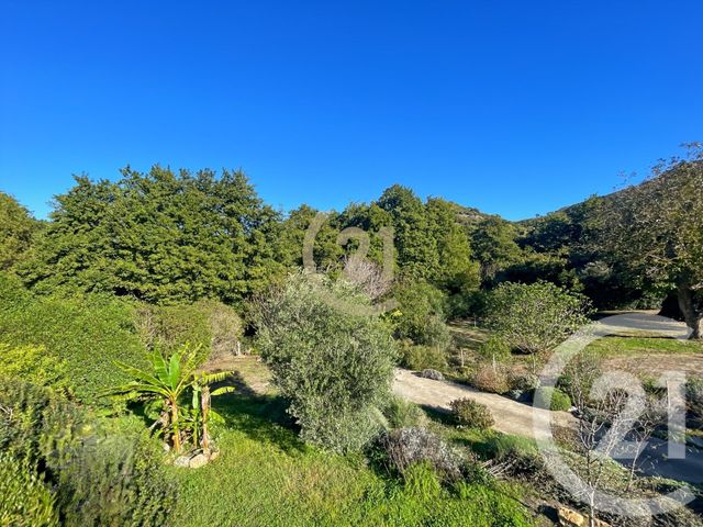Maison à vendre - 6 pièces - 205 m2 - Oletta - 202 - CORSE