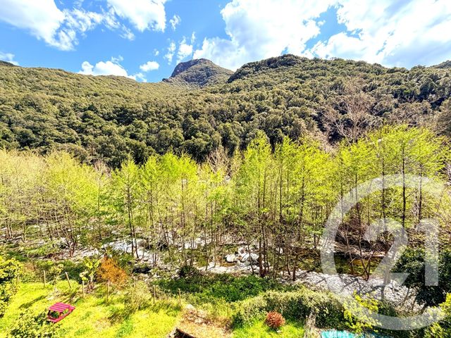 Maison &agrave; vendre - 7 pi&egrave;ces - 173,50 m2 - Olmeta Di Capocorso - 202 - CORSE