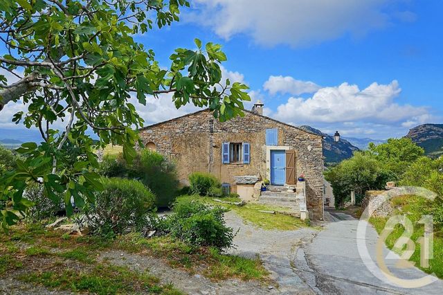 Maison à vendre PATRIMONIO