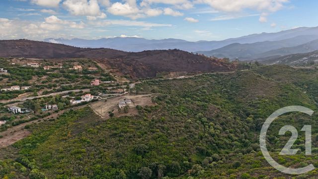Terrain à vendre ST FLORENT