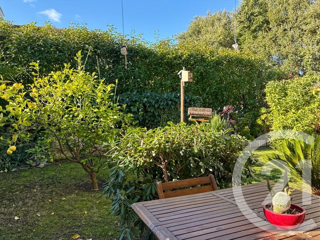 appartement - OLETTA - 202