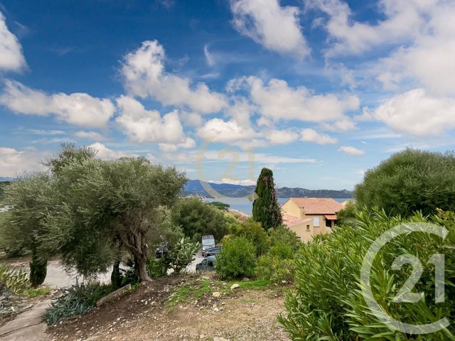 Appartement T2 à louer - 2 pièces - 39,02 m2 - Patrimonio - 202 - CORSE