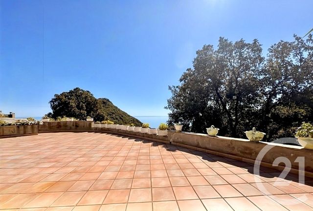 Maison &agrave; vendre - 12 pi&egrave;ces - 487 m2 - San Martino Di Lota - 202 - CORSE
