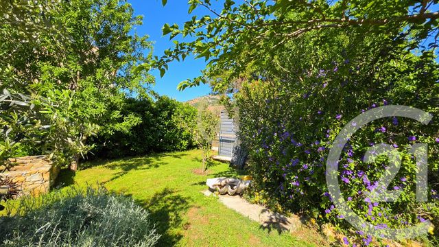 Maison &agrave; vendre - 3 pi&egrave;ces - 68 m2 - Patrimonio - 202 - CORSE