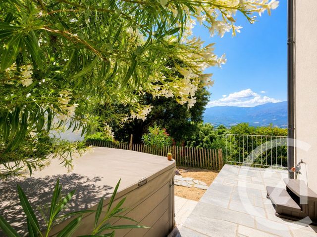 Maison &agrave; vendre - 5 pi&egrave;ces - 162 m2 - Poggio D Oletta - 202 - CORSE
