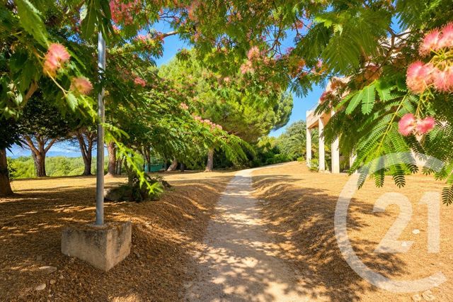 Appartement T2 &agrave; vendre - 2 pi&egrave;ces - 32,02 m2 - St Florent - 202 - CORSE