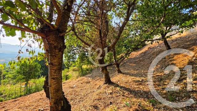 Maison &agrave; vendre - 4 pi&egrave;ces - 280 m2 - Oletta - 202 - CORSE