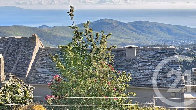 Maison &agrave; vendre - 4 pi&egrave;ces - 98,34 m2 - Sisco - 202 - CORSE