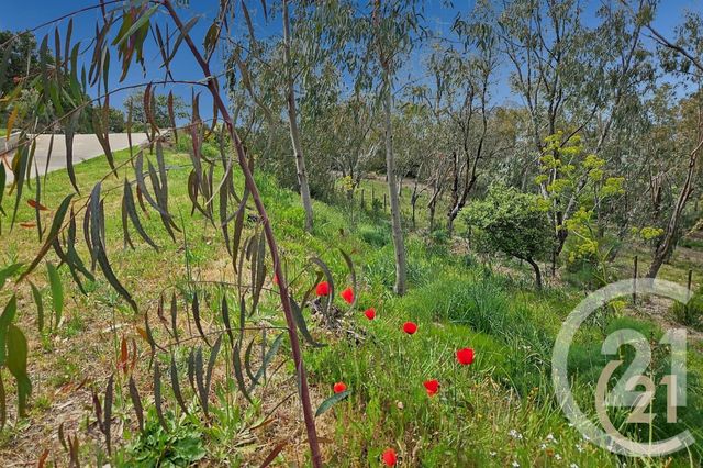 Maison &agrave; vendre - 5 pi&egrave;ces - 230 m2 - St Florent - 202 - CORSE