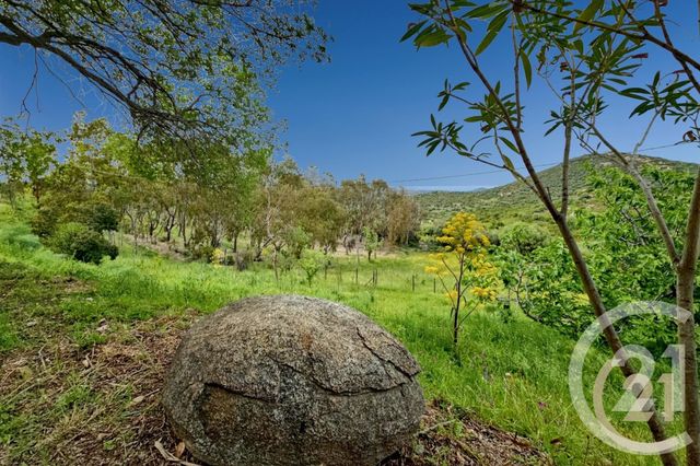 Maison &agrave; vendre - 5 pi&egrave;ces - 230 m2 - St Florent - 202 - CORSE