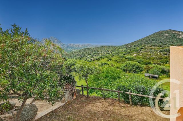 Maison &agrave; vendre - 5 pi&egrave;ces - 230 m2 - St Florent - 202 - CORSE
