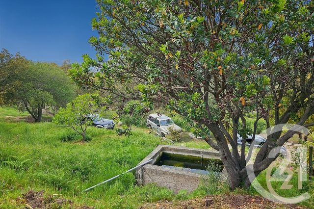 Maison &agrave; vendre - 5 pi&egrave;ces - 230 m2 - St Florent - 202 - CORSE