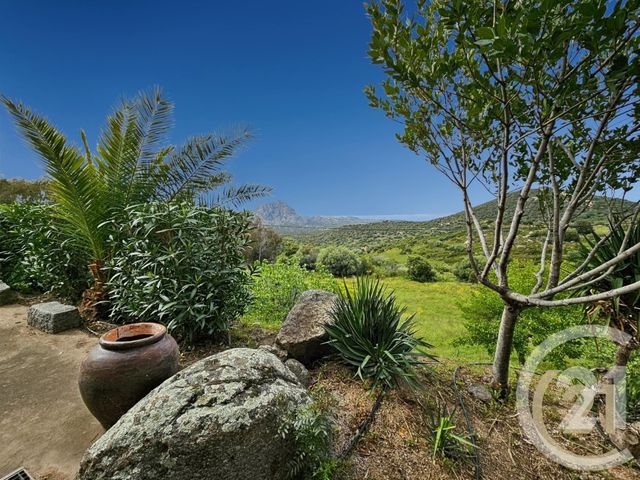 Maison &agrave; vendre - 5 pi&egrave;ces - 230 m2 - St Florent - 202 - CORSE