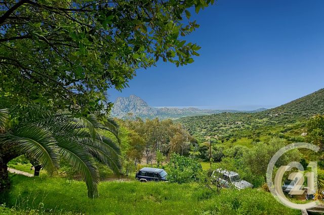 Maison &agrave; vendre - 5 pi&egrave;ces - 230 m2 - St Florent - 202 - CORSE