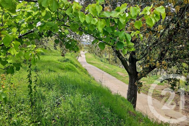 Maison &agrave; vendre - 5 pi&egrave;ces - 230 m2 - St Florent - 202 - CORSE