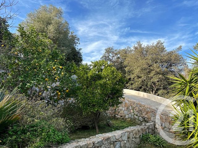 Maison à vendre - 9 pièces - 230 m2 - Moncale - 202 - CORSE