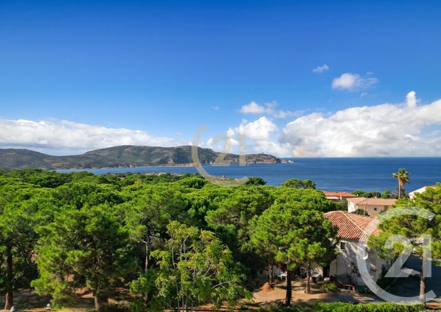 Maison à vendre - 10 pièces - 202,73 m2 - Calvi - 202 - CORSE