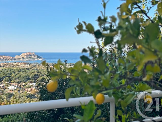 Maison à vendre - 20 pièces - 502 m2 - Calvi - 202 - CORSE