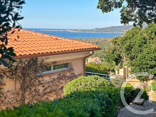 Maison à vendre - 20 pièces - 502 m2 - Calvi - 202 - CORSE