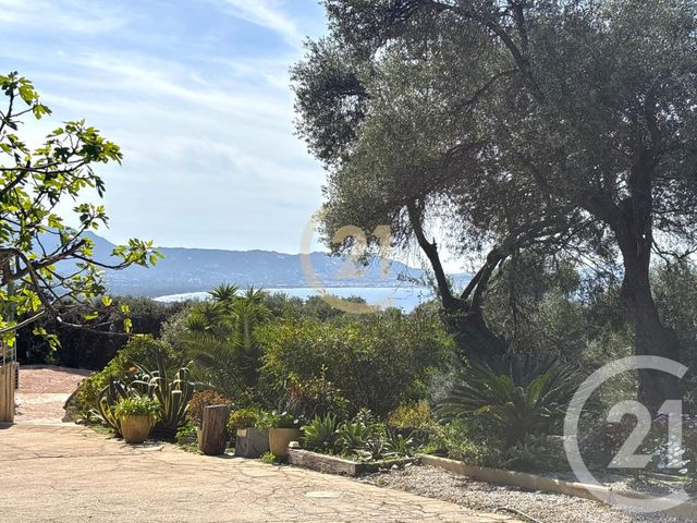 Maison à vendre - 3 pièces - 86,56 m2 - Lumio - 202 - CORSE