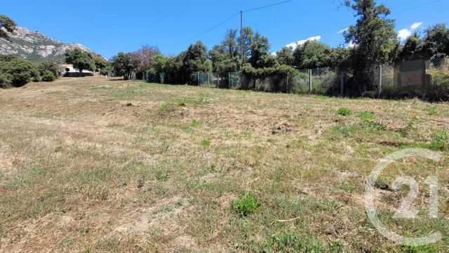 Terrain &agrave; vendre - 1850 m2 - Lumio - 202 - CORSE