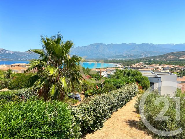 Maison à vendre - 4 pièces - 88,36 m2 - Calvi - 202 - CORSE