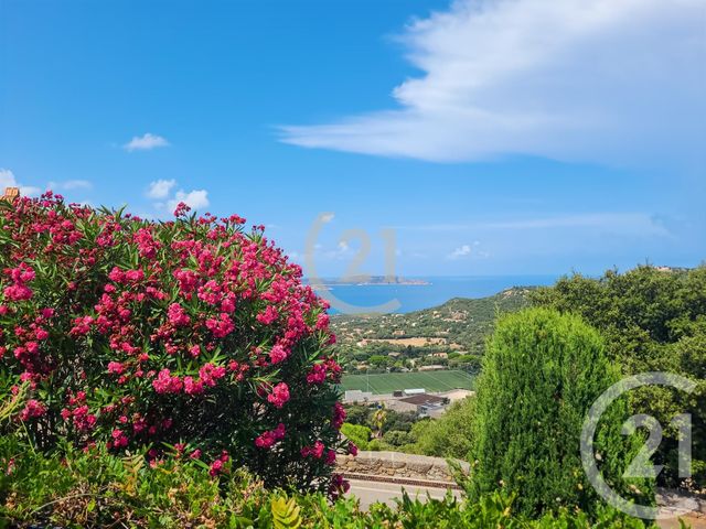 Maison à vendre - 5 pièces - 145 m2 - Lumio - 202 - CORSE