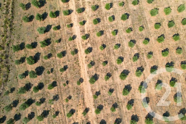 Maison à vendre - 6 pièces - 210,39 m2 - Calenzana - 202 - CORSE