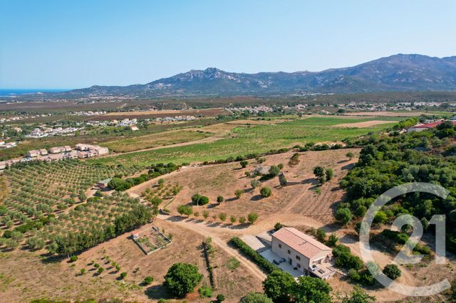 Maison à vendre - 6 pièces - 210,39 m2 - Calenzana - 202 - CORSE
