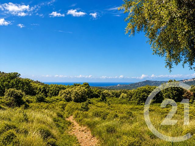 Maison &agrave; vendre - 5 pi&egrave;ces - 107,23 m2 - Calenzana - 202 - CORSE