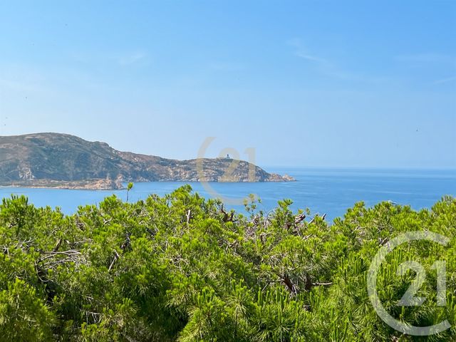 Appartement Studio &agrave; vendre - 1 pi&egrave;ce - 32,01 m2 - Calvi - 202 - CORSE